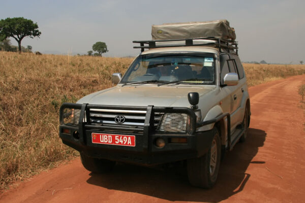 Landcruiser with Rooftent